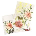  дырокол Studio initial поздравительная открытка конверт комплект ( цветок ×N)