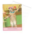 [35%OFF] Portal животное поздравительная открытка конверт имеется Maude-Ups and Downs