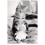 ART UNLIMITED кошка. открытка ( кошка × кукла ) поздравительная открытка 