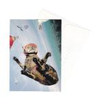 [35%OFF] Portal животное поздравительная открытка конверт имеется Mac-Airborn ( рождение праздник .)