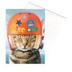 [35%OFF] Portal животное поздравительная открытка конверт имеется Mac-Wear a Helmet ( рождение праздник .)