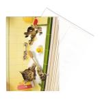 [35%OFF] Portal животное поздравительная открытка конверт имеется Lund-A Little Bubbly ( рождение праздник .)