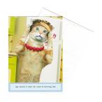 [35%OFF] Portal животное поздравительная открытка конверт имеется Maude-Feng Shui ( рождение праздник .)