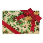  дырокол Studio Рождество карта Large размер (.. оберточная бумага . красный лента ) конверт имеется retro поздравительная открытка 