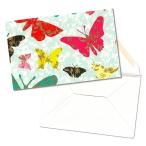  Roger la панель поздравительная открытка конверт комплект ( бабочка × цветок × голубой )
