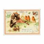  Германия производства ламе &da ikatto открытка ( кошка ×va Io Lynn )