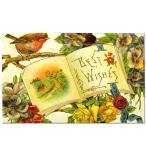 книга@. вокруг ... малиновка . цветок . открытка 