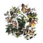 フレークシール セット スクラップ素材 (自然写真集シリーズ×果物） PET素材