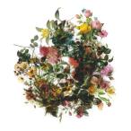 フレークシール セット スクラップ素材 (自然写真集シリーズ×フラワー） PET素材