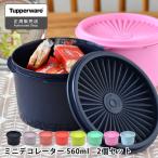 保存容器 密閉 タッパーウェア ミニデコレーター Tupperware 2個セット 食品 色違い スタッキング プラスチック おしゃれ キッチン 小分け 液体 アルコール