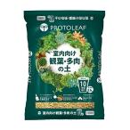  Pro to leaf салон предназначенный . лист * много мясной земля 10 номер горшок для 8.4L