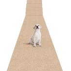 . внизу ковровое покрытие поглощение . внизу кровать 60×300cm толщина 4 mm Bolinker длинный ковровое покрытие смещение нет ... водоотталкивающий модный одноцветный ka