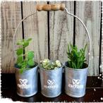 LE¡¡JARDIN¡¡HANDLE ¡¡3POT