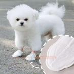  собака для водонепроницаемый обувь одноразовый 20 шт. комплект pi-kru прогулка для собака ботинки предотвращение скольжения ...... маленький размер собака предназначенный 1 раз ограничение . санитария . дождь. день . загрязнения предотвращение . удобный 