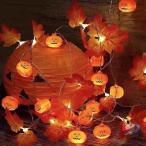 クリスマスイルミネーションLEDカーテンライト3M/6Mピークルフェアリーライト装飾ストリングライトで華やかクリスマス飾りに窓辺やベッド周りの雰囲気作りに