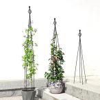 ガーデントレリス、組み立てる必要はありません ローズオベリスク、バラ用 オベリスク アイアン、調整可能植物サポート 花用支柱 観葉植物 トレリス、耐候性 庭