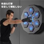 正規品 音楽ボクシングマシン スマート ディスプレイ付き ライト付き 子供大人 壁掛け ボクシングトレーニングパンチング機器 エクササイズ ウォール ターゲット