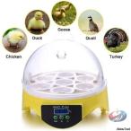 . яйцо контейнер in kyu Beta -7 шт для, все автоматически автоматика регулировка температуры & цифровой температура управление pi-kru простой функционирование. большая вместимость . яйцо контейнер, птицы ... устойчивость побудить совершить установка окружающая среда. главное 