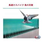  голубь .. товары птица . меры kalas.. птица .. голубь ..pi-kru птица .. товары веранда крыша и т.п.. птица . предотвращение .. предотвращение ..25cm 8 шт. комплект 2m