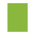 ササガワ(タカ印) ケイコーポスター Ａ４判 緑 厚口 10枚×1セット