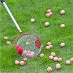 ショッピングゴルフボール ゴルフ ボールピッカー ボール回収器 回収 卓球 ゴルフボール 回収機 キャッチャー ボール拾い 球 ガーデン 栗 収穫 ハンドル付 dar-tamahiroi