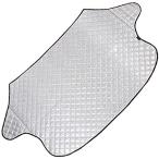  лето зима двоякое применение .. предотвращение + изоляция сиденье ощущение роскоши переднее стекло снег защита прямые лучи солнечный свет S размер tecc-touket02-s