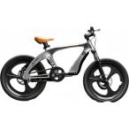マグネシウム合金マウンテンバイク、子供用自転車、8-15歳用20インチ学生自転車、ダブルディスクブレーキシングルスピードマウンテンバイク