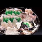 活け〆とらふぐ ８００ｇ（3〜4人前）【送料無料】  ふぐ刺し ふぐちり ふぐ鍋 ふぐ フグ 河豚 てっさ てっちり