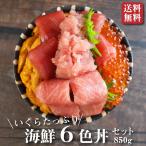 本マグロとイクラとウニの６色丼セ