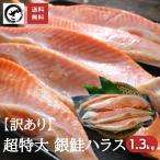 訳あり　銀鮭 ハラス 特々大サイズ 甘塩 1.1kg 送料無料 さけ サケ はらす