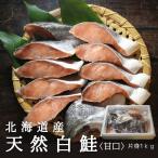 北海道知床産　天然白鮭片身約1kg 切身 中辛 通販 人気 送料無料 サケ さけ