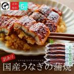 鰻 うなぎ ウナギ 訳あり 国産うなぎ蒲焼　5尾(約125ｇ×5）【送料無料】　 うなぎ 鰻 ウナギ 蒲焼 うな丼