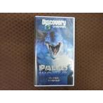 M337���ֶ�ε����ӥǥ��޴� ���������/�ͥ��Ф���̩��VHS�ӥǥ�