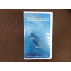 M341���ǥ��å����ۡ������/�ޡ��������������֥��塼�֥顦�������륺��VHS�ӥǥ�