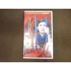 M376����ƥ�������������Х˴���/���󥸥��ꥯ�����ɥ쥤���ȥȥ�¾�ְ����Ƥ롢�����Ƥ��ʤ��ġ�VHS�ӥǥ�