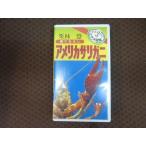 M398���勞�勞�ӥǥ��޴�3 Gakken ���ӷ� �֥���ꥫ���ꥬ�ˡ�VHS�ӥǥ�