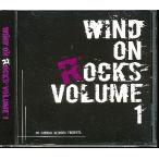 ZB120●【 WIND ON ROCKS VOLUME 1 】CD / 鈴木慎一郎 THE NAMELESS BEAUTY MIND