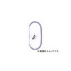 大東プレス ( DAITO PRESS ) バックミラー D300 小判 DI-43