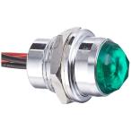  jet inoue(JET INOUE) LED Pilot лампа High Power DC24V специальный 1 шт грузовик зеленый / зеленый 528243