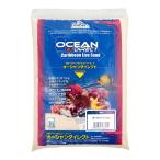 kami - ta Ocean Direct Olight 2.2kg