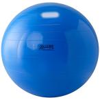�M���j�N(GYMNIC) �M���j�N 65 �� LP9565 �C�^���A��