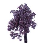  большой земля сельское хозяйство . консервированный цветок перец Berry * консервированный лиловый примерно L25~30cm 55G входить DO003380-400