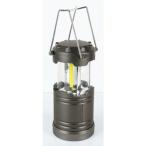 DAISHIN.. только простой LED фонарь способ светло-серебристый DLS-002LTS *331932