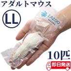 ZAZOO 国産 冷凍マウス アダルトLL 35g〜40g 9.5cm 真空 個別包装 爬虫類 猛禽類 の 餌