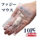 ZAZOO местного производства рефрижератор мышь faji- мышь 6~8 g примерно 5.0 cm вакуум индивидуальный упаковка рептилии .. вид. приманка 