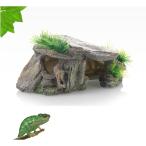  рептилии ракушка ta- тритон .. дом ящерица .. черепаха отходит остров ящерица Leo Париж kgame леса рептилии специальный разведение линька поддержка ( камень )