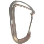 カラビナ カラビナフック 高強度 多機能 登山 キャンプ アウトドア ハンモック 航空アルミニウム製 タテ荷重 12KN (シルバー)