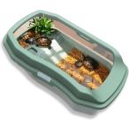  аквариум черепаха черепаха аквариум черепаха. аквариум садок для разведения черепаха черепаха большой 65x35x18cm забор есть .. предотвращение рептилии ( зеленый, очень большой )