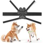  собака предотвращение скольжения . собака наклейка пара. .. поворачивать obi. дизайн долговечность склеивание лапа защита L 16 листов ввод MDM( черный, L, 16 листов ввод )