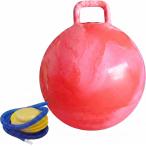  ho  булавка g фитбол Kids 45cm Jump мяч body . тренировка вне развлечение спорт игрушка насос есть ( мрамор красный )